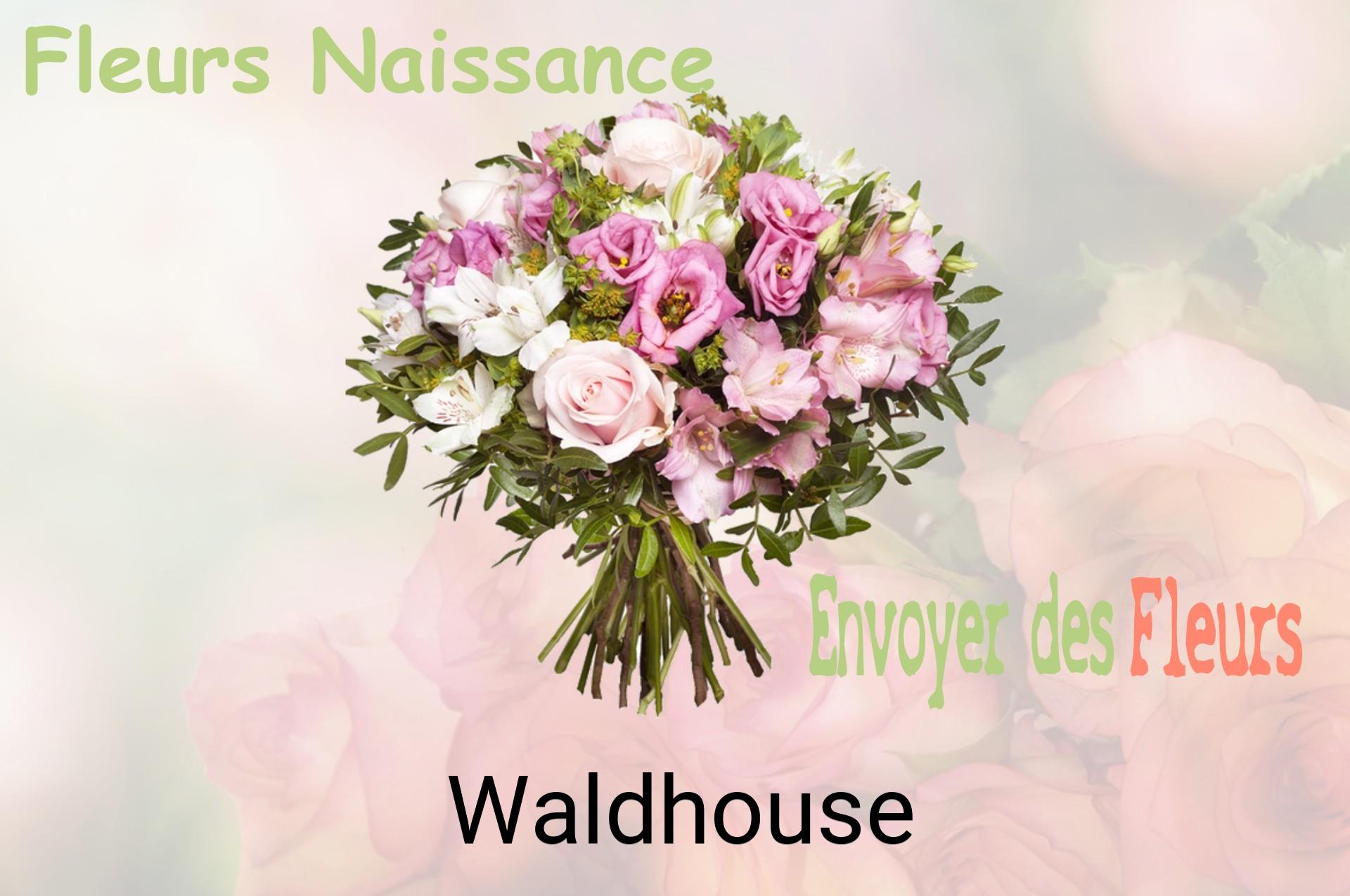Bouquet de fleurs de naissance livré à Waldhouse